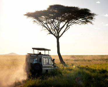 Best Tanzania Safari Tours