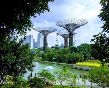 Things to do in Singapore