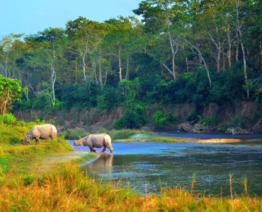 Things to Do in Chitwan