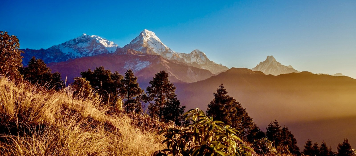 Ghorepani Poon Hill Trek